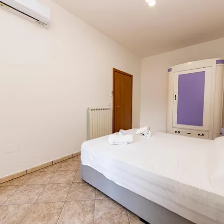 Purple Dreams - Apartamento