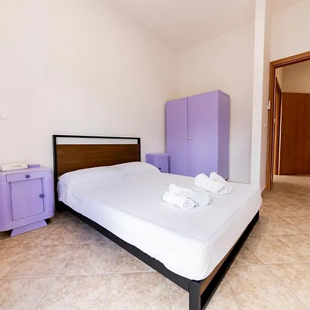 Purple Dreams -