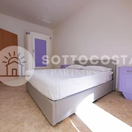 Purple Dreams - 马里蒂玛