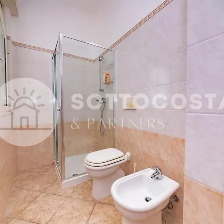 Purple Dreams - 马里蒂玛