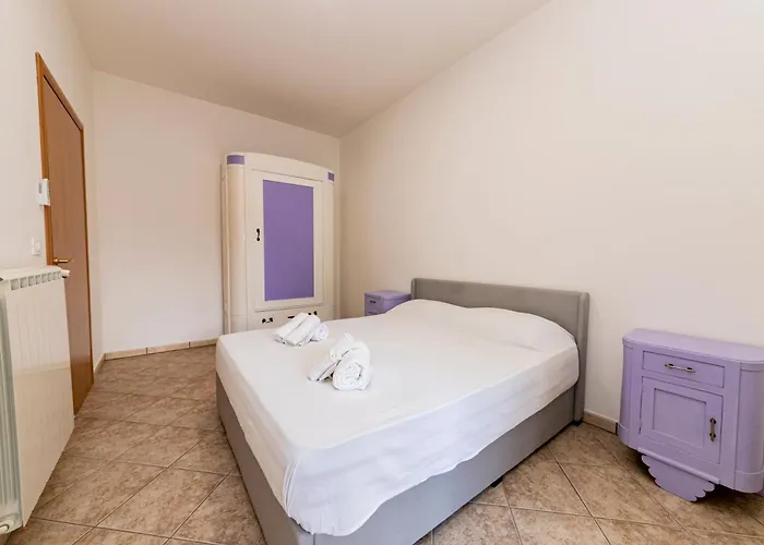 Daire Purple Dreams - *